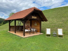 Wooden hut at tourist farm Artisek